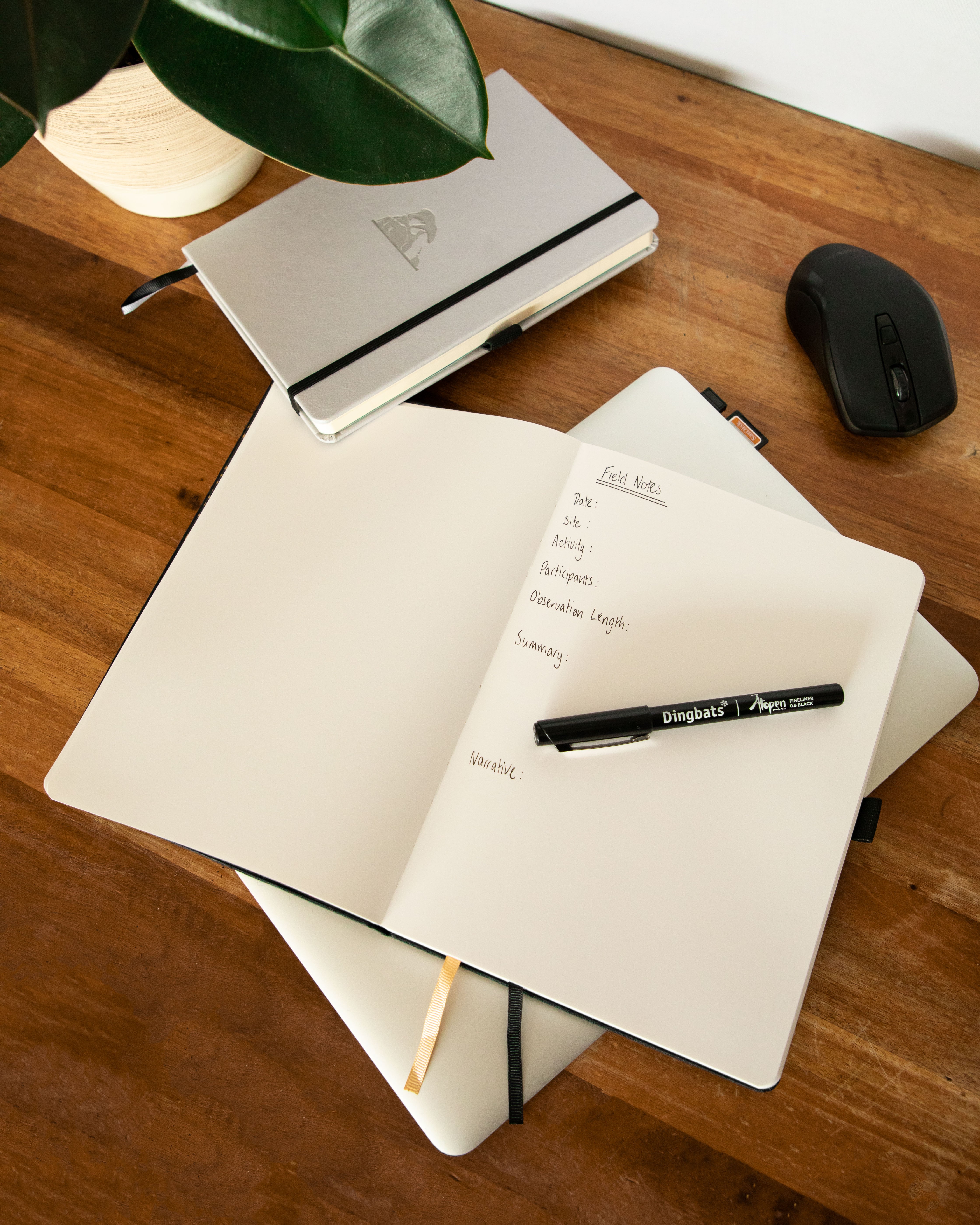 Bullet Journaling for Beginners 2026: A Step-by-Step Guide | Dingbats*