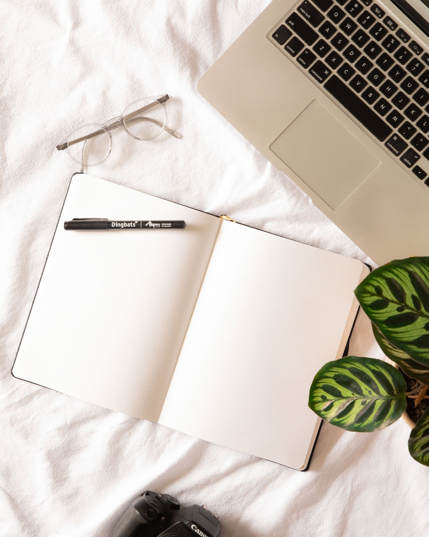 Plan with Purpose: How to Use Dingbats* for Project Management