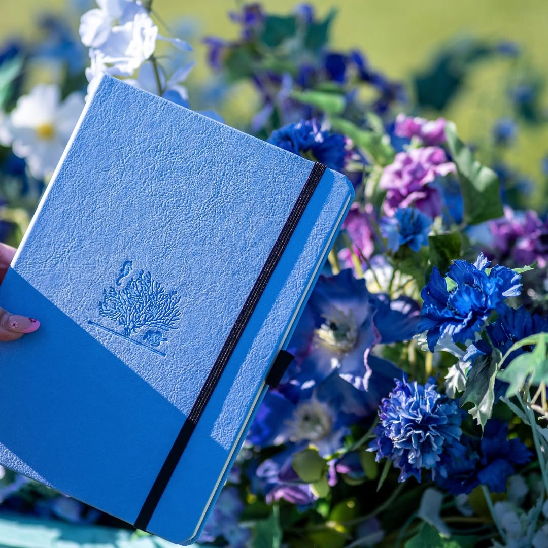 Sustainable Stationery Guide 2026 | Dingbats*