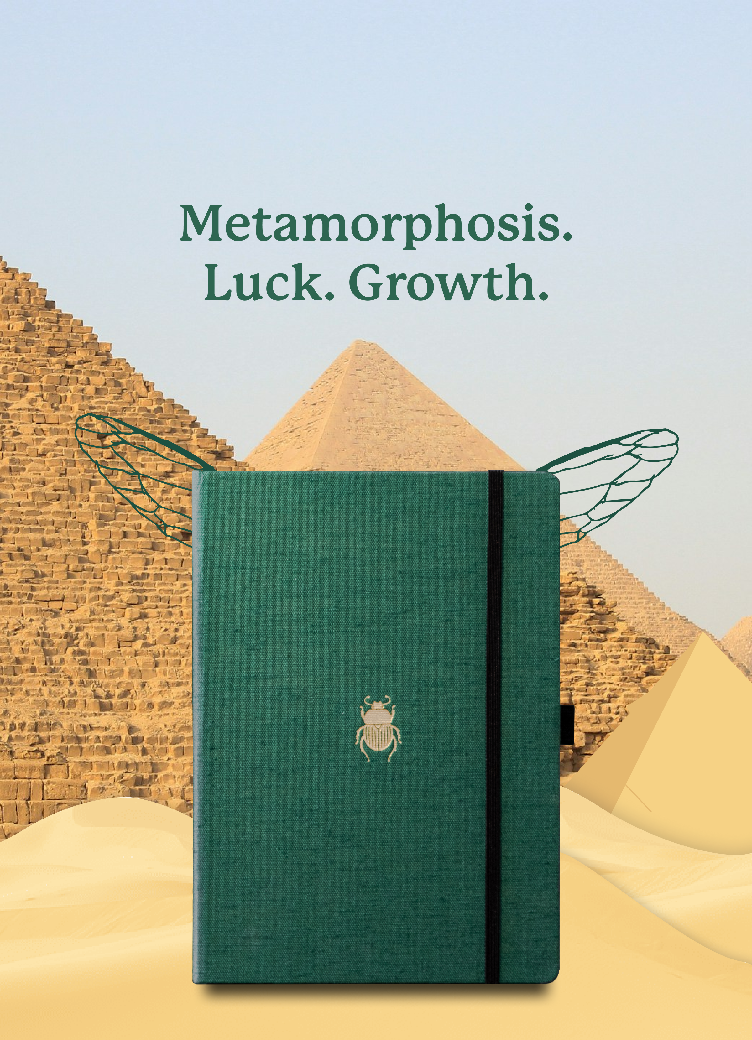 🪲 From Chaos to Clarity: The Pro Beetle Notebook Belongs in Every Professional’s Work